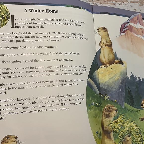 World of Animals, Tormont - Picture 4 of 8